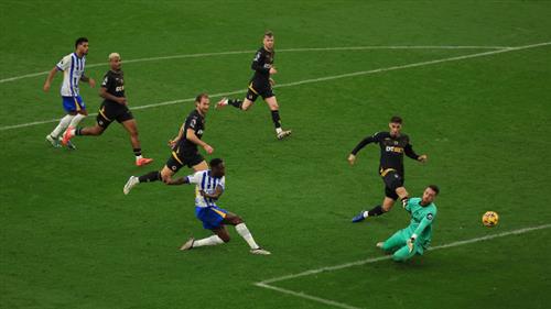 Brighton contre les loups