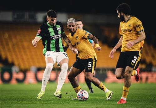 Loups contre Brighton