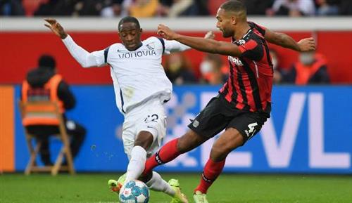 Leverkusen vs Bochum résultats historiques