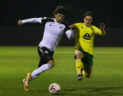 Fulham contre Norwich City