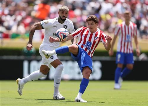 Atlético Madrid contre RJ Botafogo